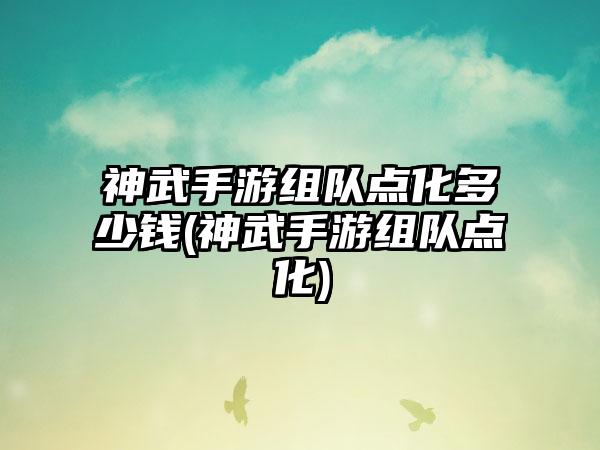 神武手游组队点化多少钱(神武手游组队点化)