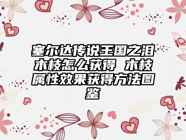 塞尔达传说王国之泪木枝怎么获得 木枝属性效果获得方法图鉴