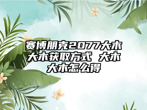 赛博朋克2077大木大木获取方式 大木大木怎么得