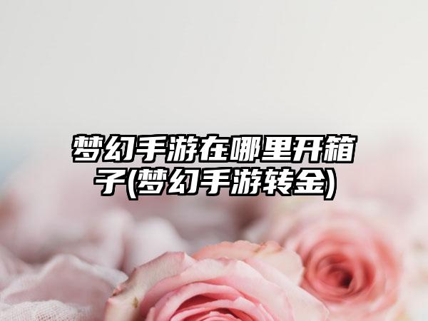 梦幻手游在哪里开箱子(梦幻手游转金)