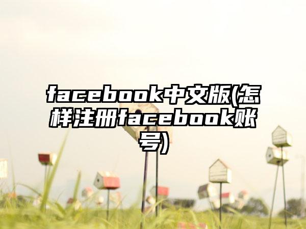 facebook中文版(怎样注册facebook账号)