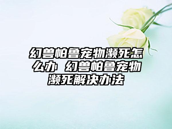 幻兽帕鲁宠物濒死怎么办 幻兽帕鲁宠物濒死解决办法