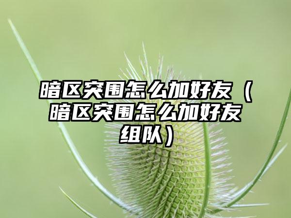 暗区突围怎么加好友（暗区突围怎么加好友组队）