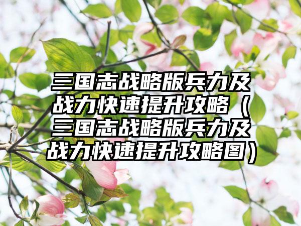 三国志战略版兵力及战力快速提升攻略（三国志战略版兵力及战力快速提升攻略图）