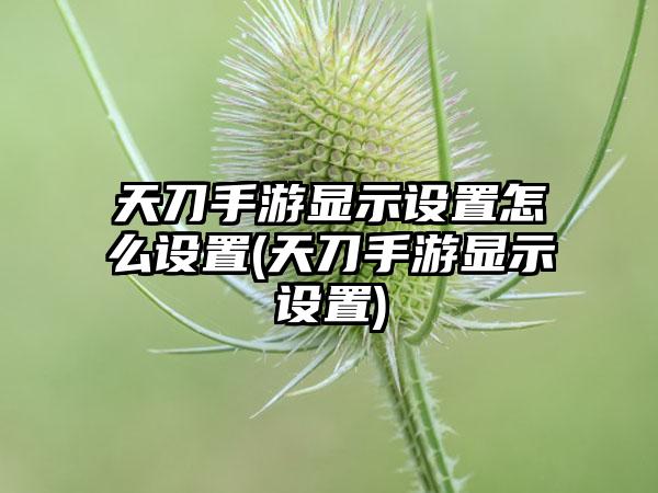 天刀手游显示设置怎么设置(天刀手游显示设置)