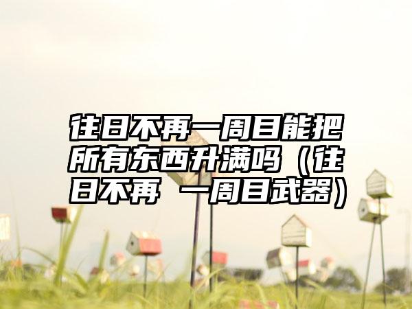 往日不再一周目能把所有东西升满吗（往日不再 一周目武器）