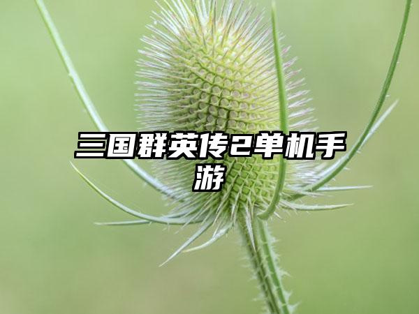 三国群英传2单机手游