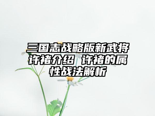 三国志战略版新武将许褚介绍 许褚的属性战法解析