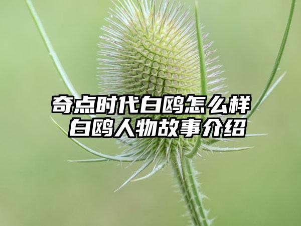 奇点时代白鸥怎么样 白鸥人物故事介绍