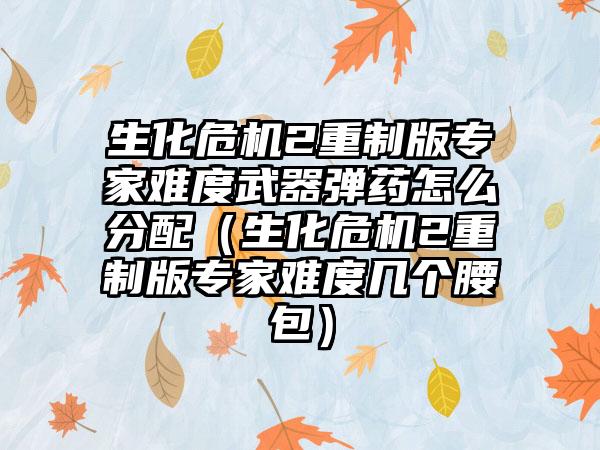 生化危机2重制版专家难度武器弹药怎么分配（生化危机2重制版专家难度几个腰包）