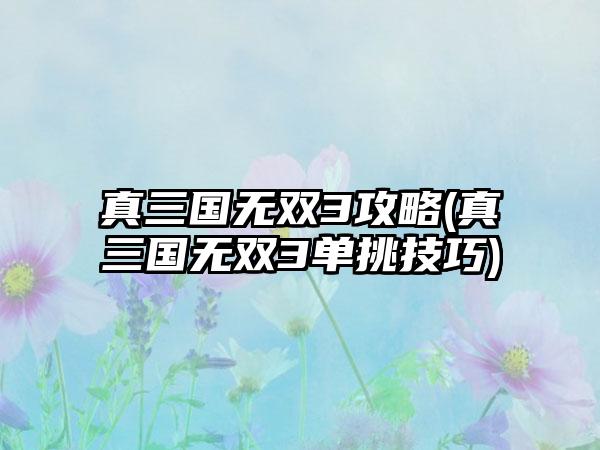 真三国无双3攻略(真三国无双3单挑技巧)