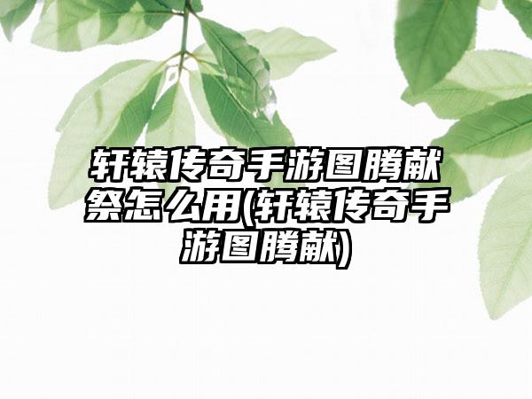 轩辕传奇手游图腾献祭怎么用(轩辕传奇手游图腾献)