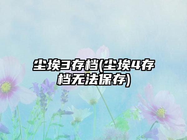 尘埃3存档(尘埃4存档无法保存)