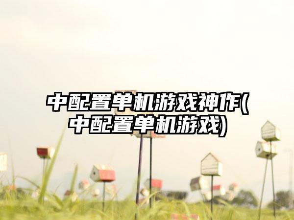 中配置单机游戏神作(中配置单机游戏)