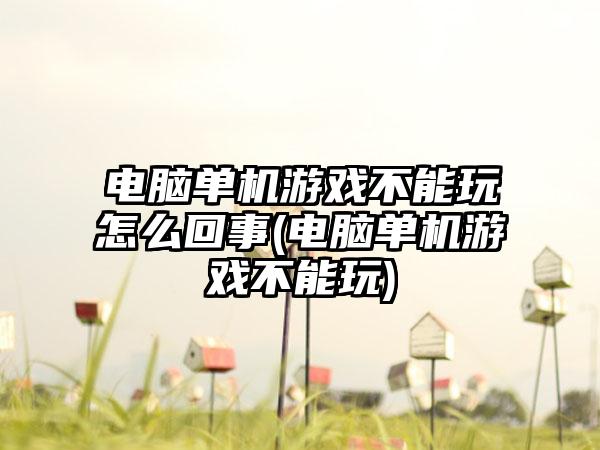 电脑单机游戏不能玩怎么回事(电脑单机游戏不能玩)