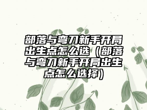 部落与弯刀新手开局出生点怎么选（部落与弯刀新手开局出生点怎么选择）