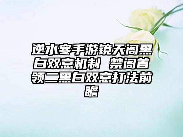 逆水寒手游镜天阁黑白双意机制 禁阁首领二黑白双意打法前瞻