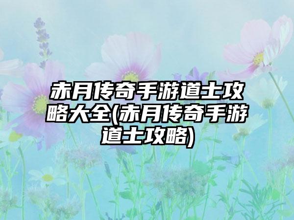 赤月传奇手游道士攻略大全(赤月传奇手游道士攻略)