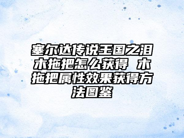 塞尔达传说王国之泪木拖把怎么获得 木拖把属性效果获得方法图鉴