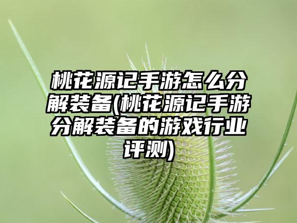 桃花源记手游怎么分解装备(桃花源记手游分解装备的游戏行业评测)