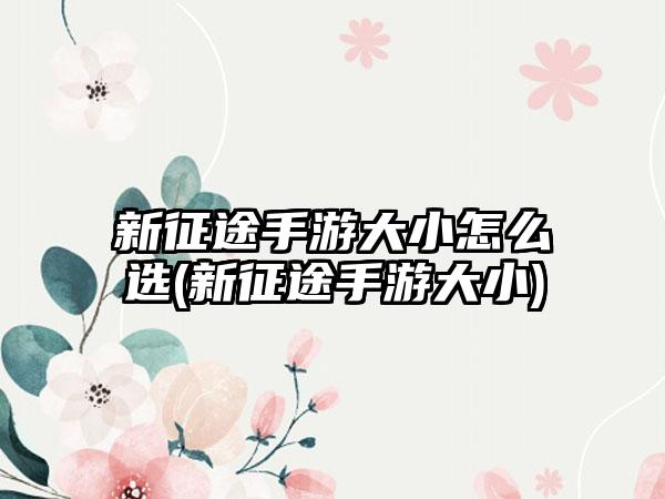 新征途手游大小怎么选(新征途手游大小)