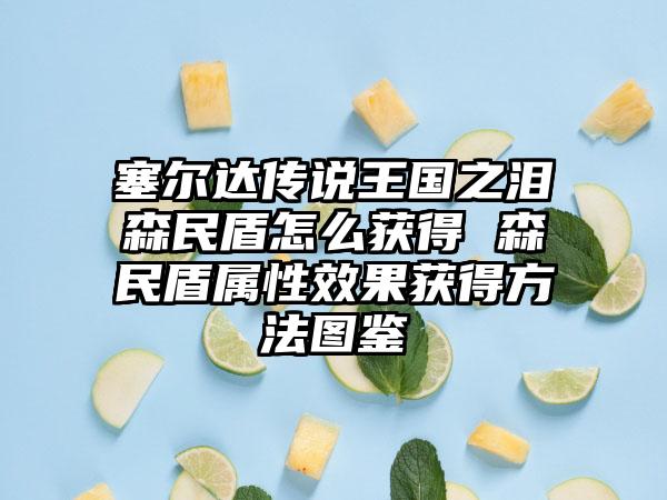 塞尔达传说王国之泪森民盾怎么获得 森民盾属性效果获得方法图鉴