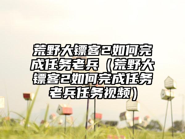 荒野大镖客2如何完成任务老兵（荒野大镖客2如何完成任务老兵任务视频）