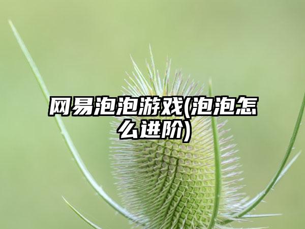 网易泡泡游戏(泡泡怎么进阶)