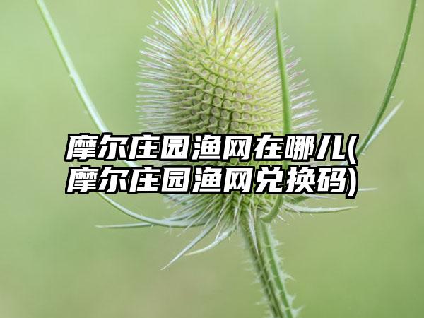 摩尔庄园渔网在哪儿(摩尔庄园渔网兑换码)