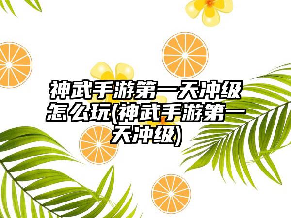 神武手游第一天冲级怎么玩(神武手游第一天冲级)