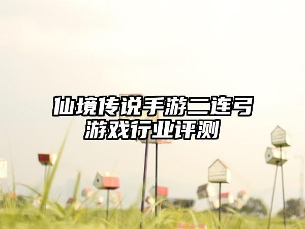仙境传说手游二连弓游戏行业评测