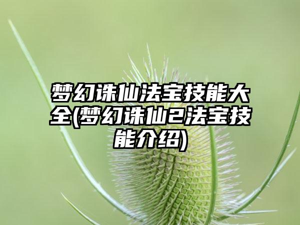 梦幻诛仙法宝技能大全(梦幻诛仙2法宝技能介绍)