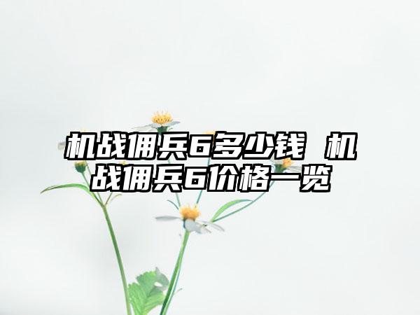 机战佣兵6多少钱 机战佣兵6价格一览