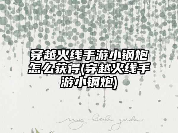 穿越火线手游小钢炮怎么获得(穿越火线手游小钢炮)