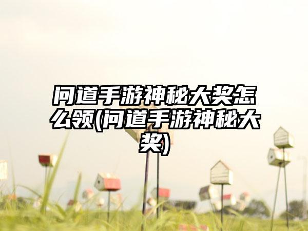 问道手游神秘大奖怎么领(问道手游神秘大奖)