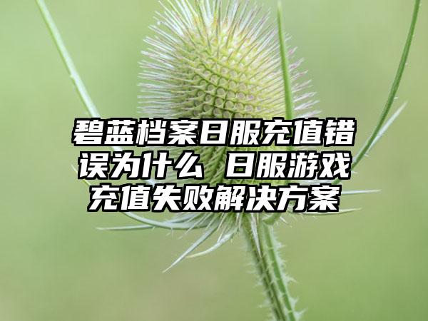 碧蓝档案日服充值错误为什么 日服游戏充值失败解决方案