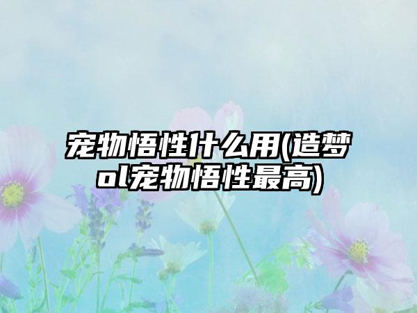 宠物悟性什么用(造梦ol宠物悟性最高)