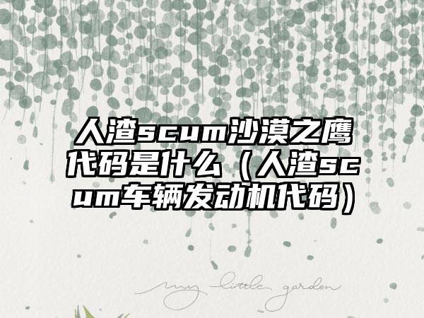 人渣scum沙漠之鹰代码是什么（人渣scum车辆发动机代码）