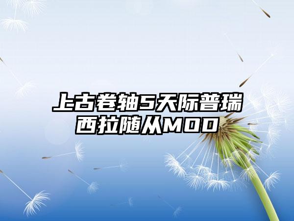 上古卷轴5天际普瑞西拉随从MOD