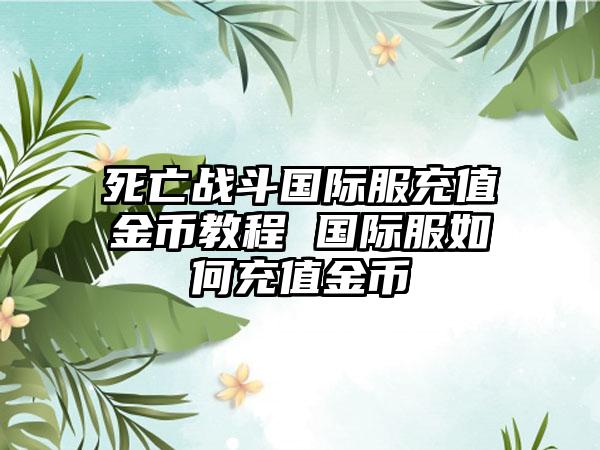 死亡战斗国际服充值金币教程 国际服如何充值金币