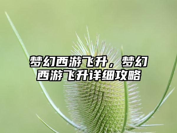 梦幻西游飞升，梦幻西游飞升详细攻略