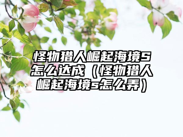 怪物猎人崛起海境S怎么达成（怪物猎人崛起海境s怎么弄）