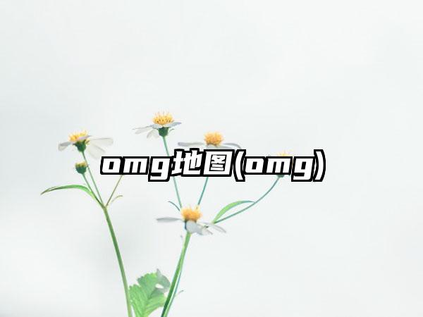 omg地图(omg)