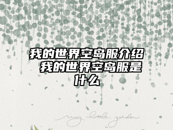 我的世界空岛服介绍 我的世界空岛服是什么