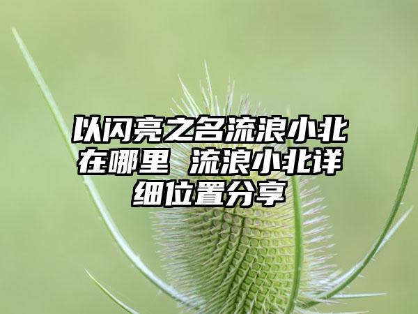 以闪亮之名流浪小北在哪里 流浪小北详细位置分享