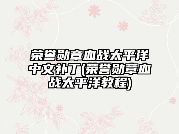 荣誉勋章血战太平洋中文补丁(荣誉勋章血战太平洋教程)