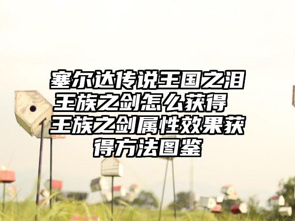 塞尔达传说王国之泪王族之剑怎么获得 王族之剑属性效果获得方法图鉴