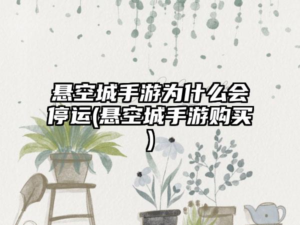 悬空城手游为什么会停运(悬空城手游购买)