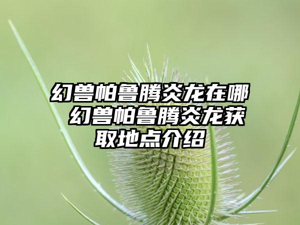 幻兽帕鲁腾炎龙在哪 幻兽帕鲁腾炎龙获取地点介绍