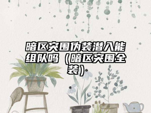 暗区突围伪装潜入能组队吗（暗区突围全装）